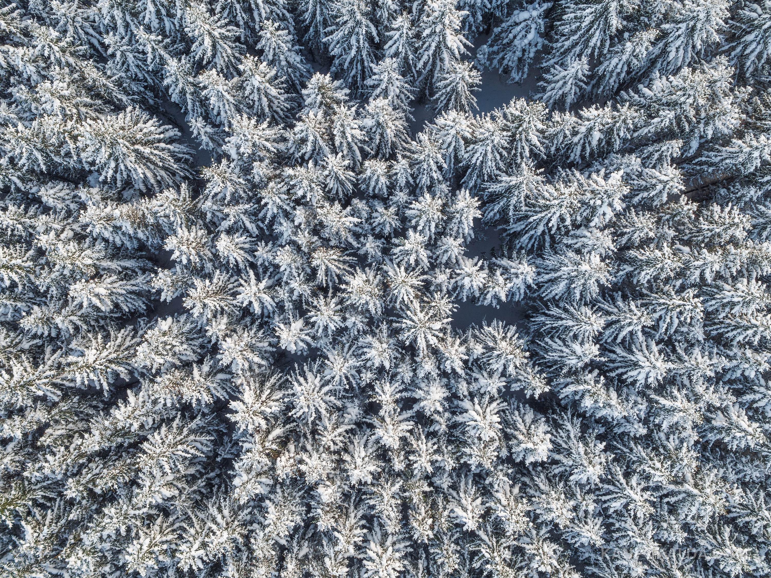 Jägala, Lumekuninganna kleidimuster