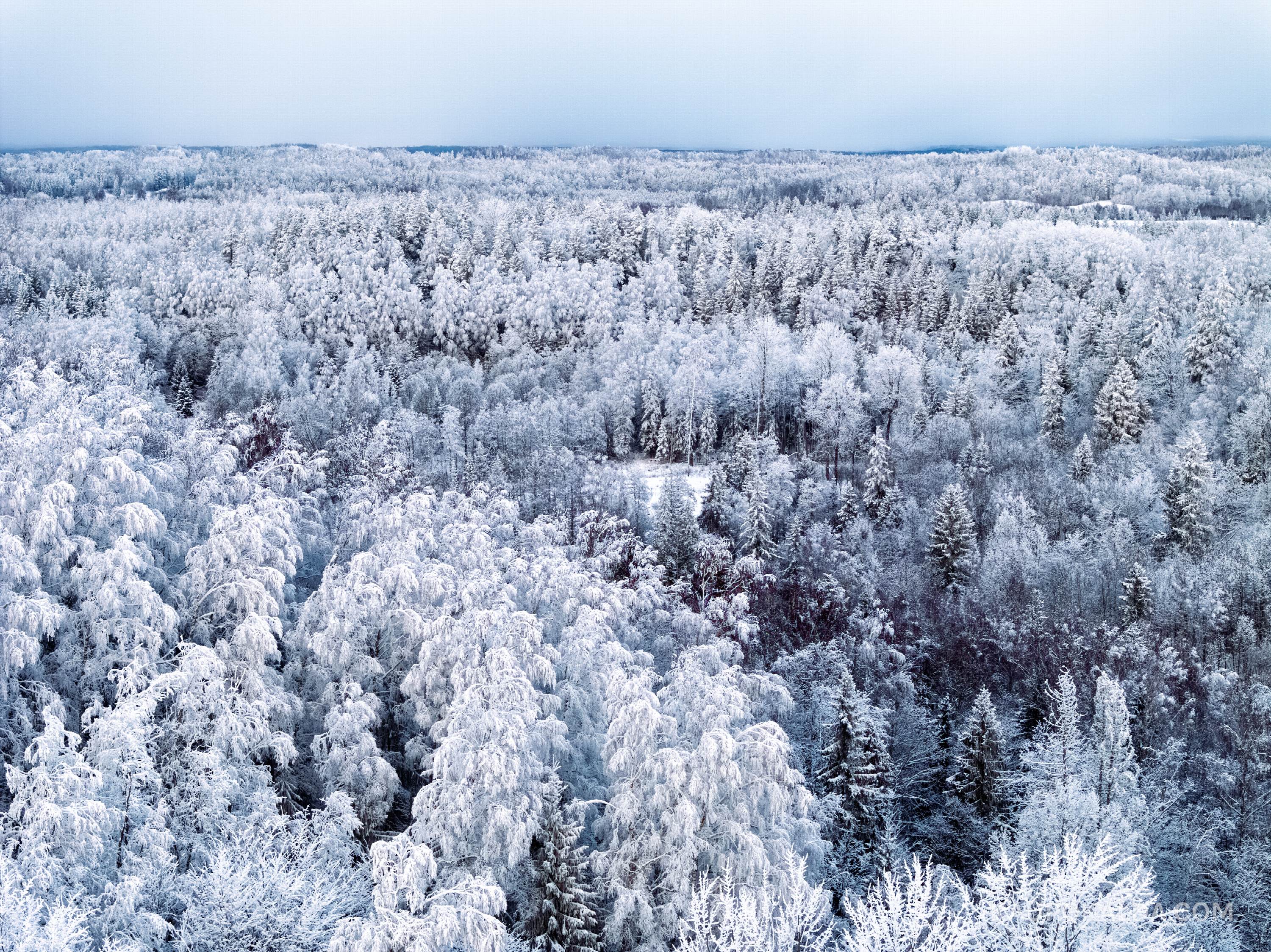 Põhjamaa
