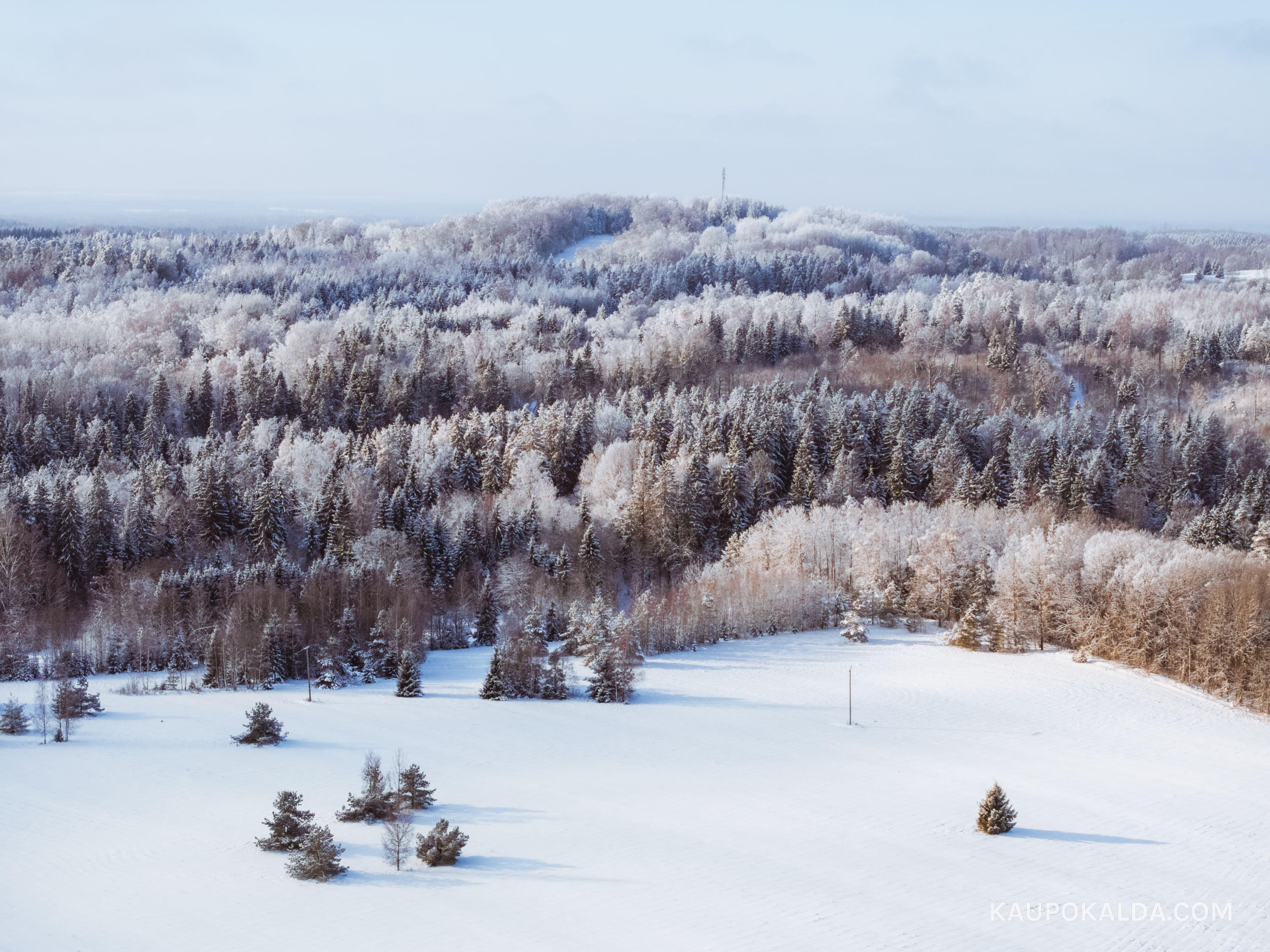Kuutsemäe talvekasukas