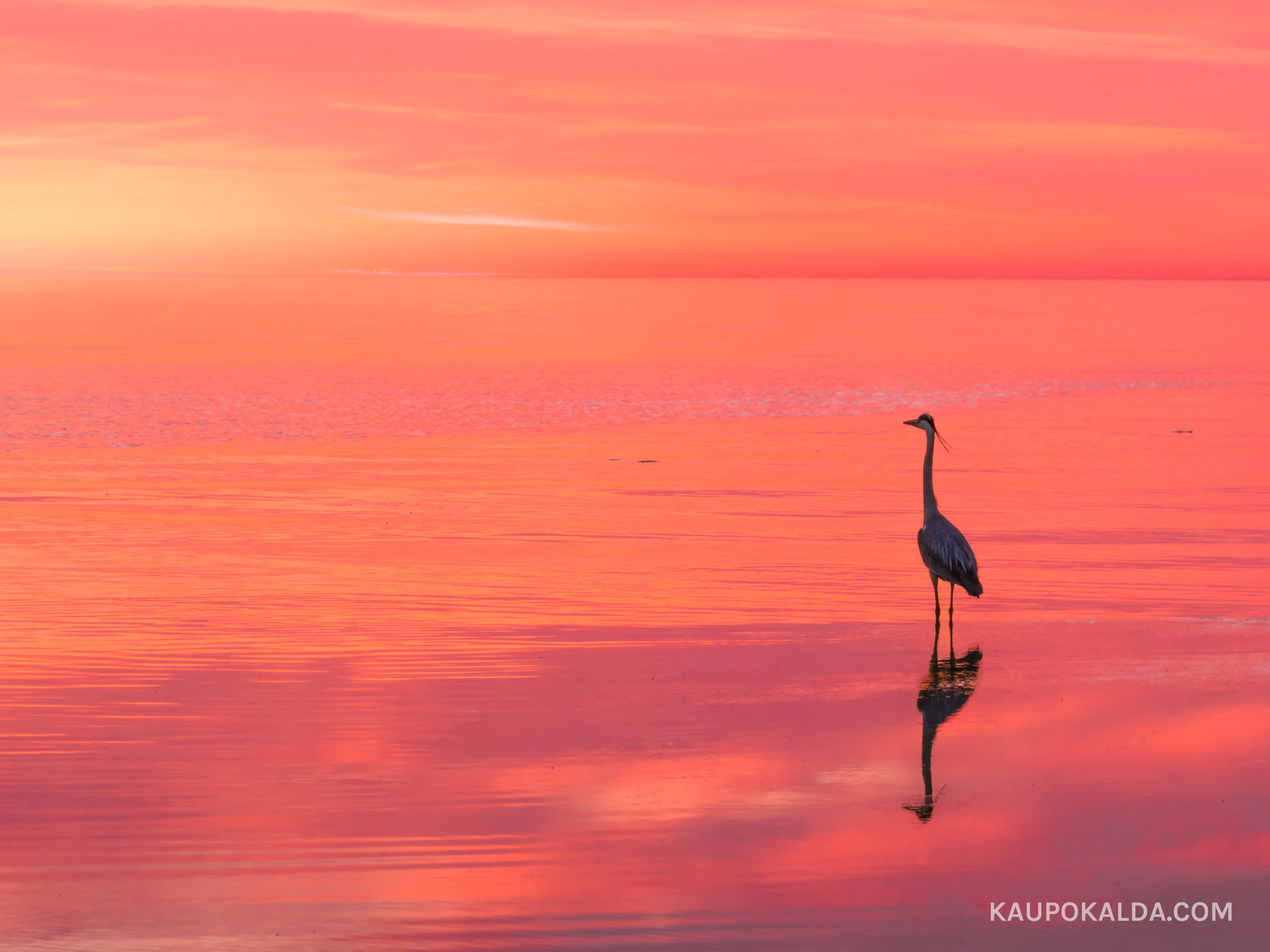 Minimalism - lihtne rahustab