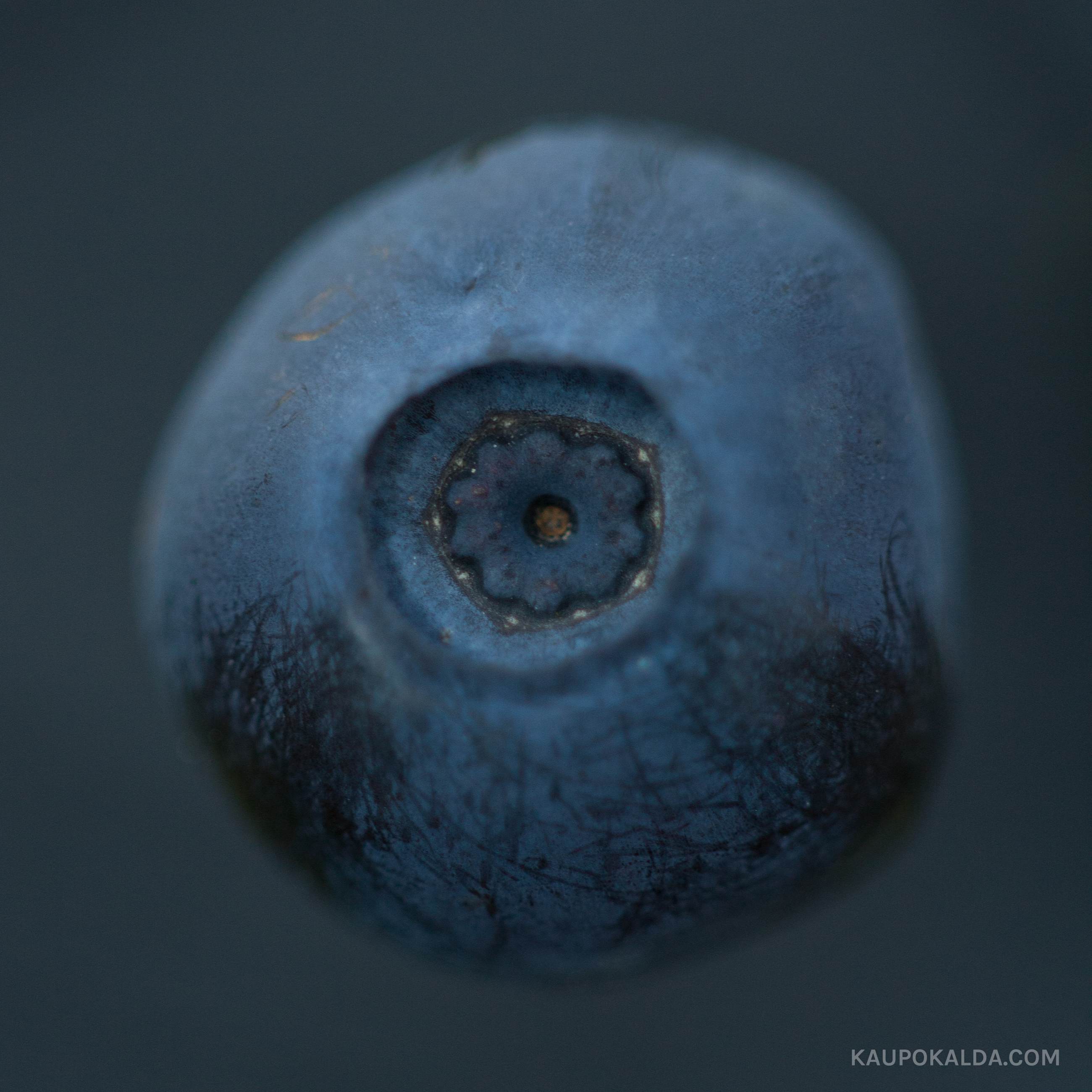 Hüpnootiline mustikas