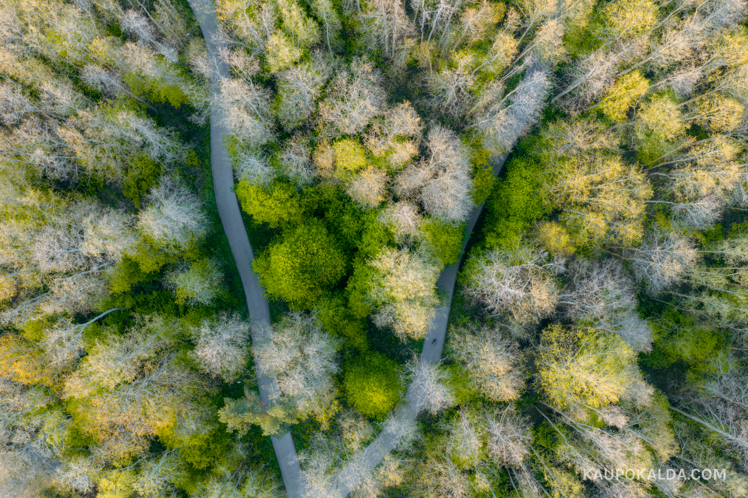 Dji Mavic 4 Pro test