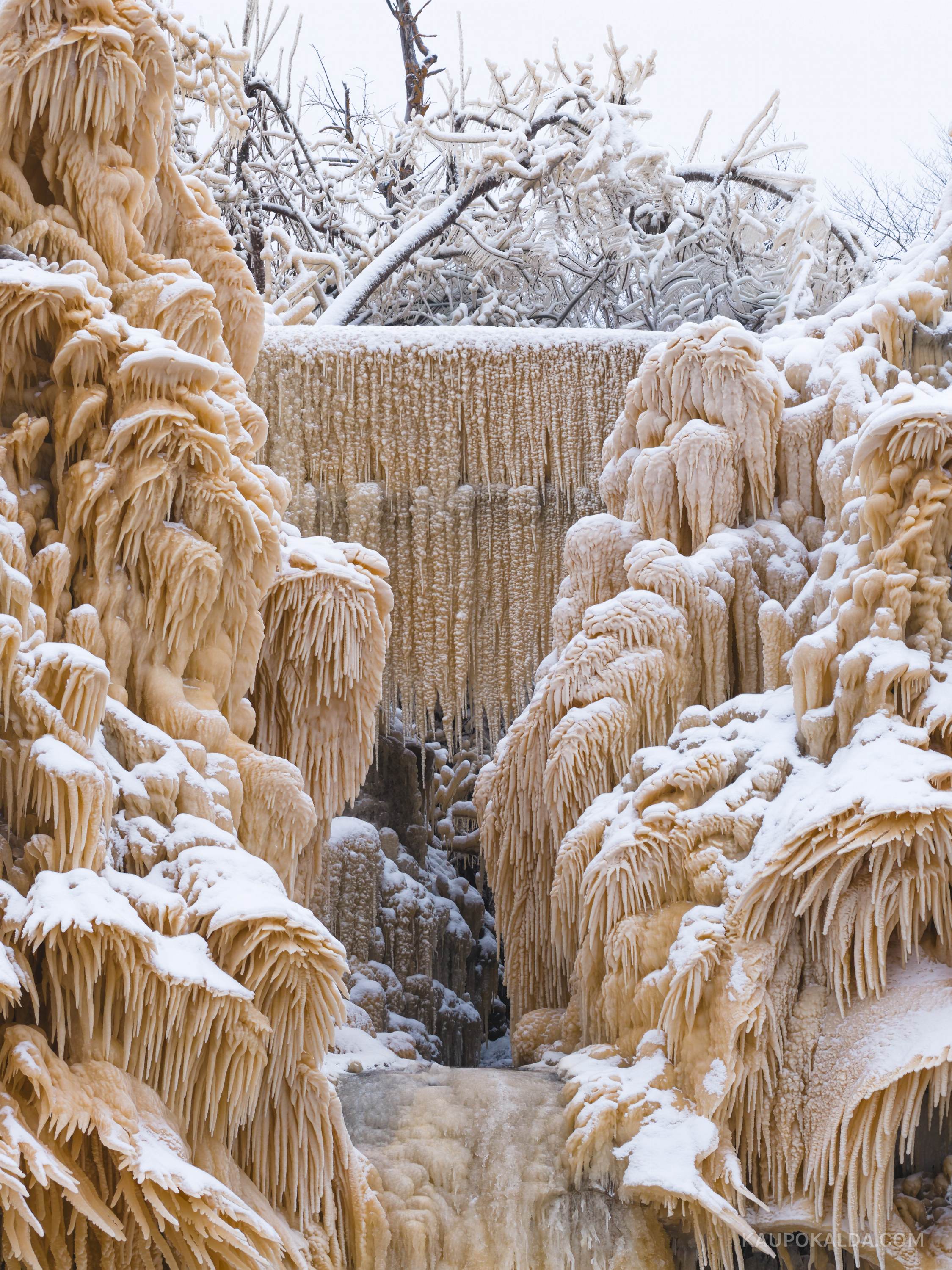 Valaste juga (seeria)