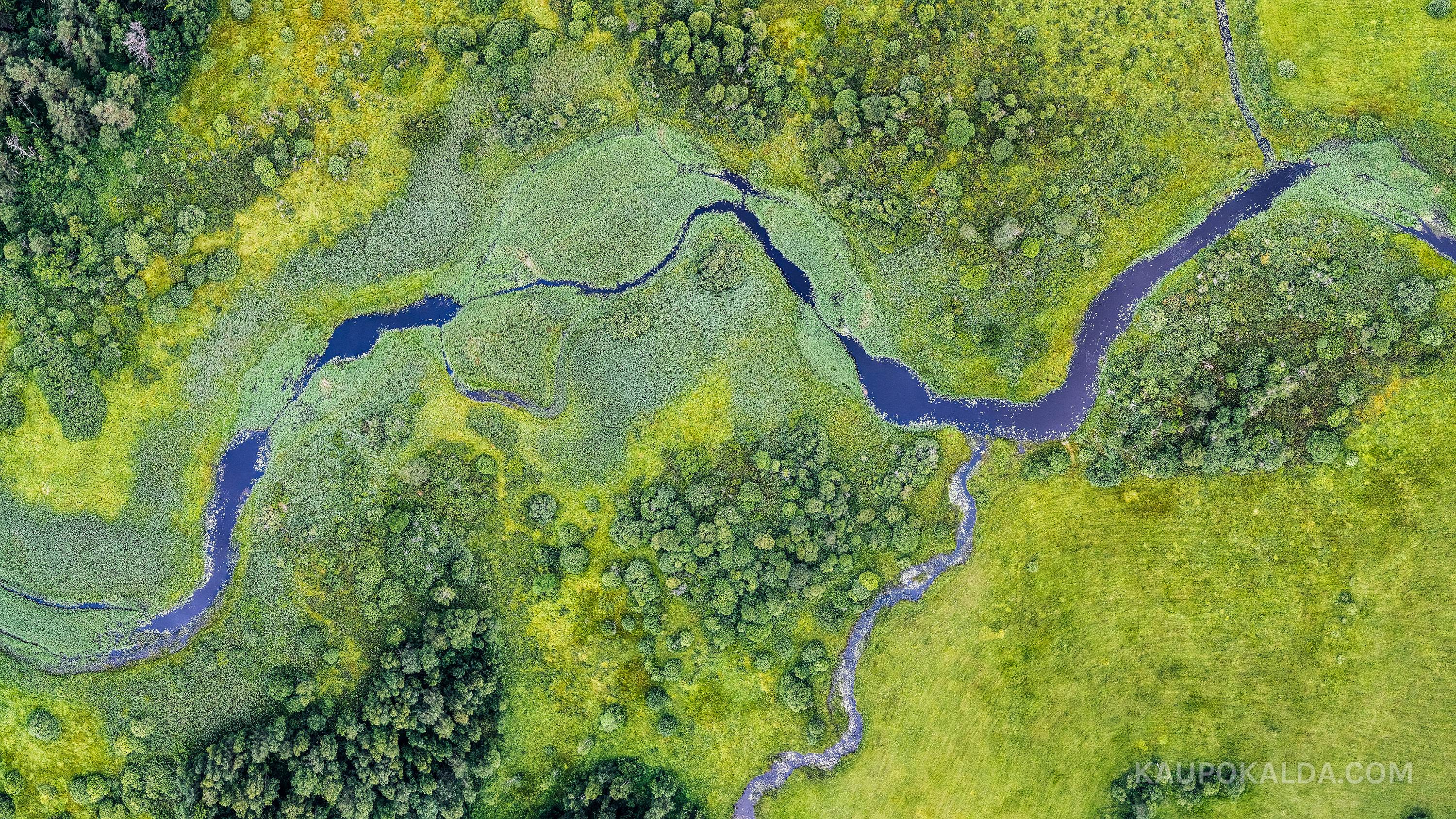 Pajaka-Vardi hoiuala